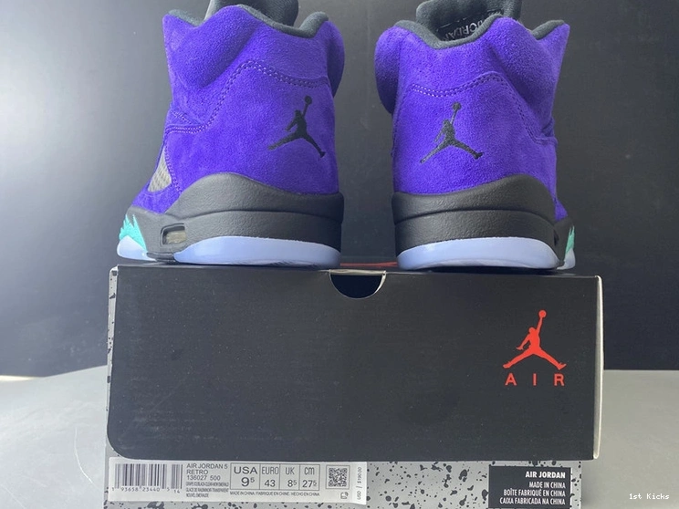 Grape”  Air “Alternate Jordan 5 136027-500 0318